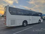 Direct Transportation from Doha to Saudi Arabia